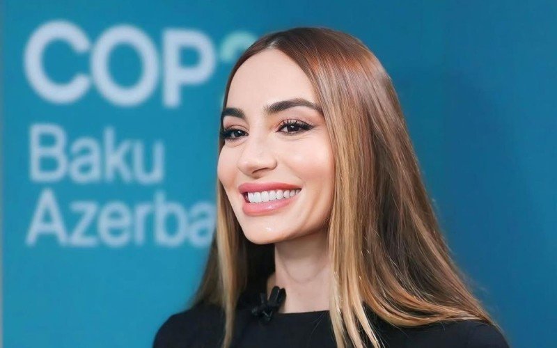 arzu əliyeva, azərbaycan respublikasının tanınmış ictimai xadimi, iş adamı və mədəniyyət sahəsindəki fəaliyyətləri ilə tanınan bir şəxsiyyətdir.