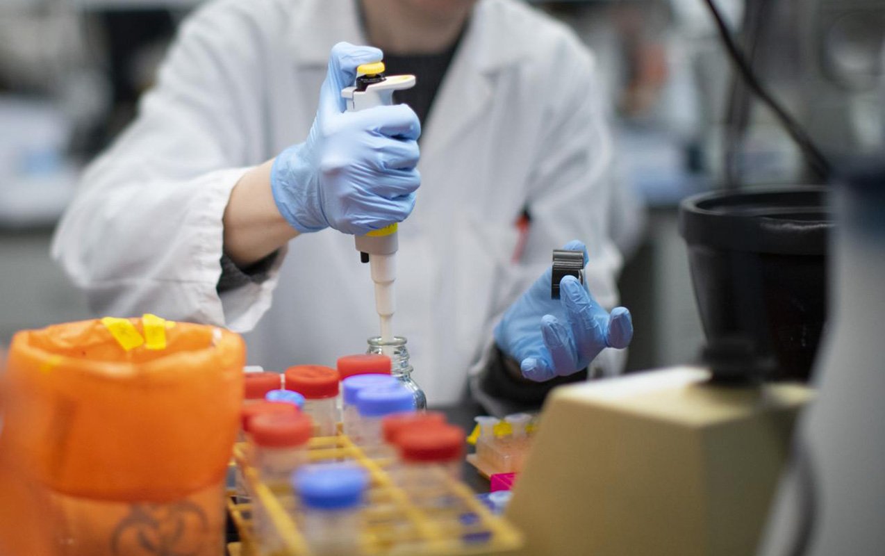 taylandda yarasalarda yeni koronavirus ştamı tapıldı