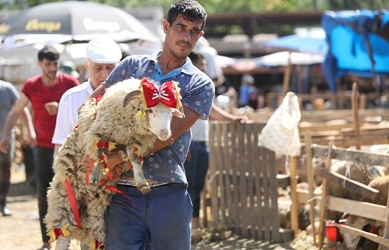 qurban bayramı ilə bağlı fətva verildi