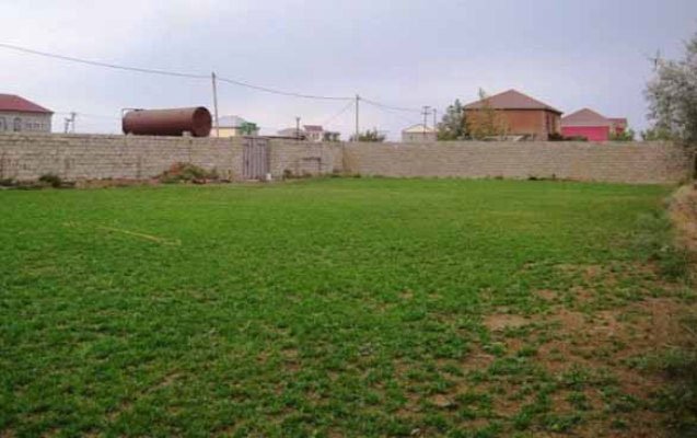 Bakıda dövlətə məxsus 25 hektar torpağı satıblar - 11 nəfər ittiham edilir